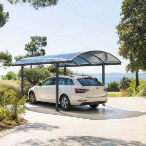 carport-belize-noir-294-x-5-x-223250-aluminium-acier-et-polycarbonate